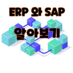 ERP 시스템의 정의와 SAP 시스템의 특성 및 설명