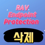 RAV Endpoint Protection 삭제 및 바이러스 , 랜섬웨어, 멜웨어 방지