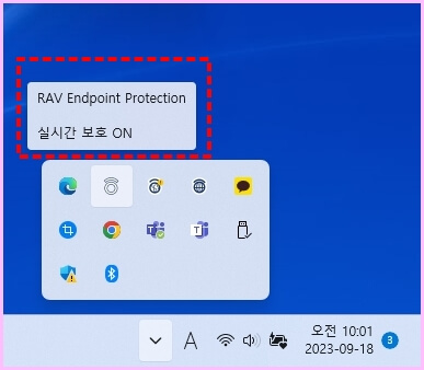 RAV Endpoint Protection  삭제