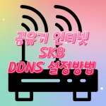 공유기 인터넷 DDNS 셋팅,SKB DDNS 셋팅