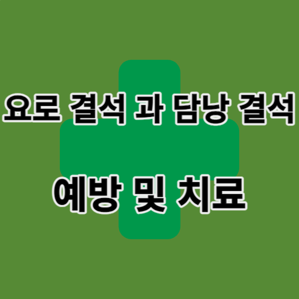 요로 결석
