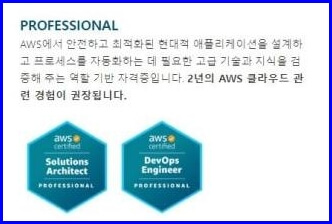 AWS 자격시험 Professional
