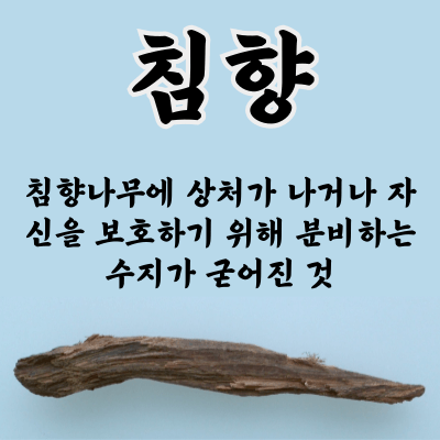 침향의 효능 및 침향 부작용 그리고 침향에 대한 다양한 정보 No.1