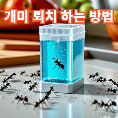 2025년 최신! 개미 없애는 방법: 자연적, 화학적, 전문가 솔루션 총정리
