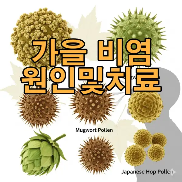 가을 비염 완전정복 : 가을에 비염이 심해지는 원인 및 치료방법