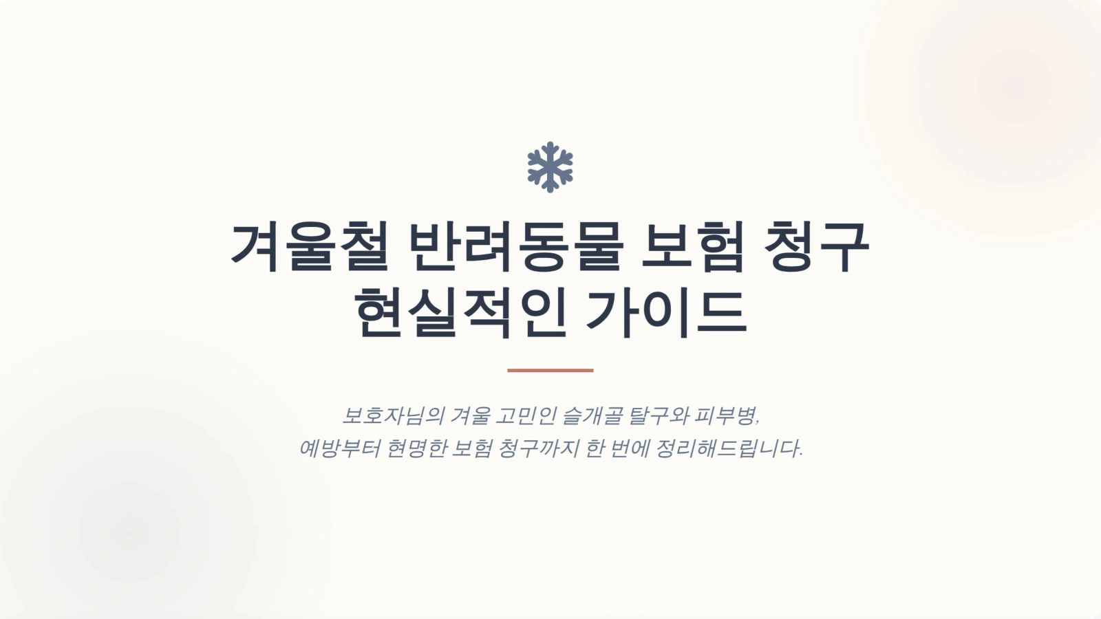 반려동물 보험 청구 1위가 겨울에 많은 이유 (슬개골/피부병)