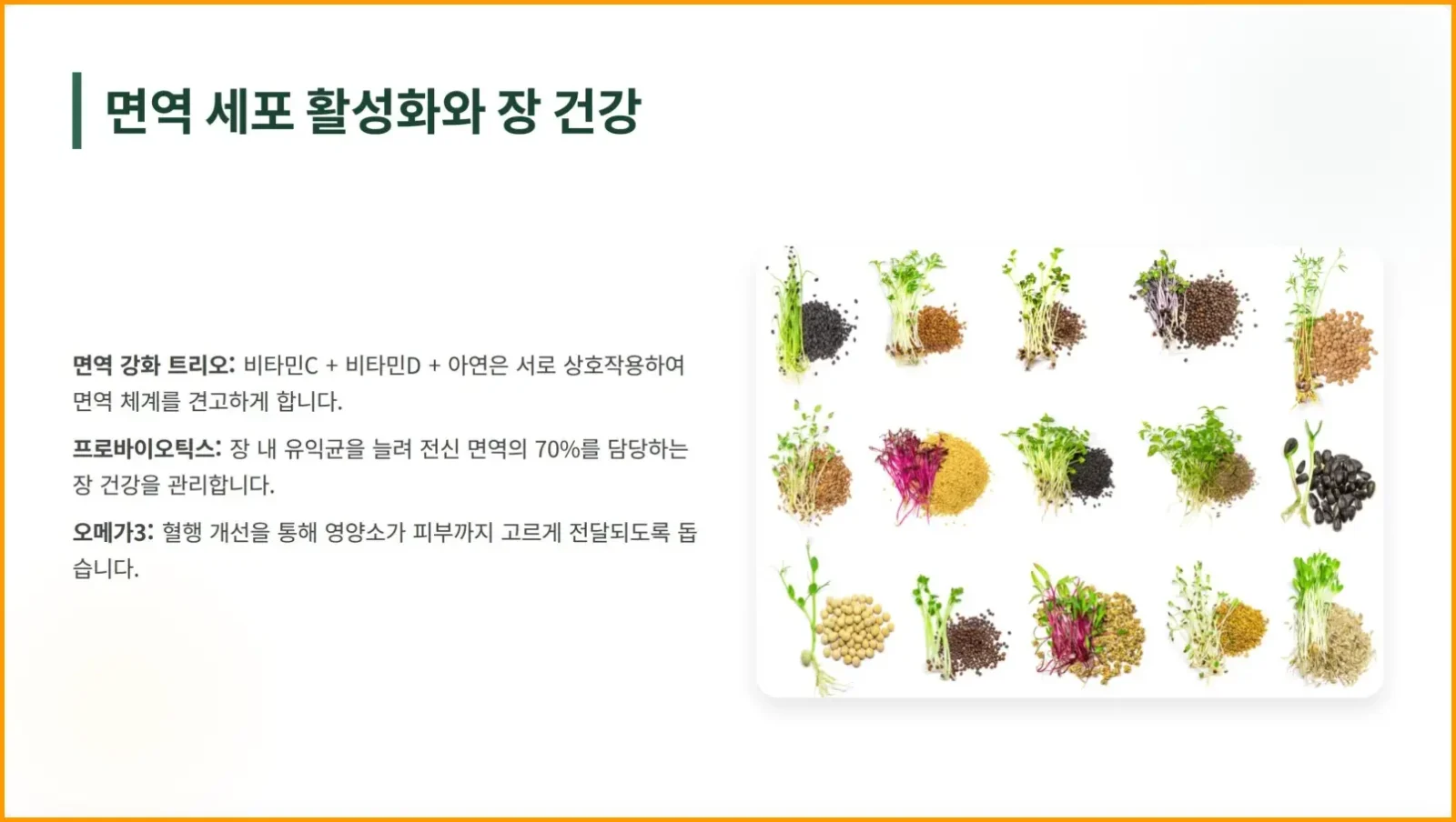 면역세포활성화